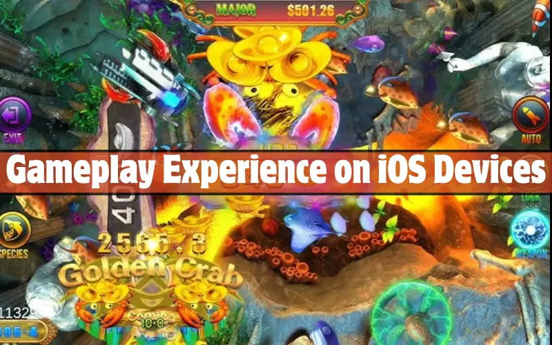Gameplay Experience on iOS Devices