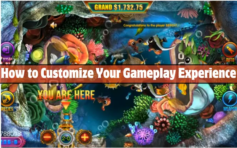 How to Customize Your Gameplay Experience