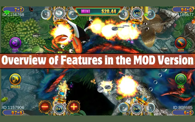 Overview of Features in the MOD Version